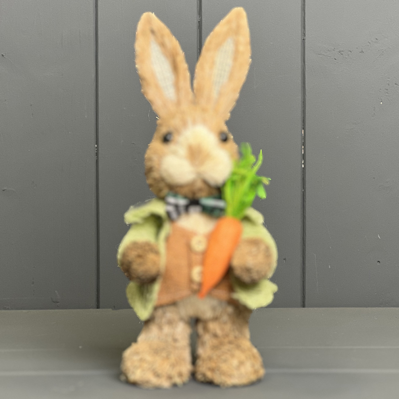 Rabbit in Green Jacket Holding a Carrot